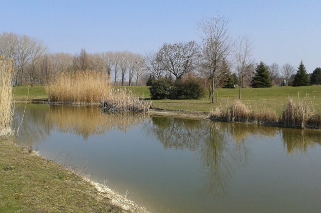 madarsko golf hotel Greenfield