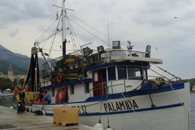 makarska prodej ryb