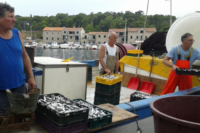 makarska rybary a ulovek
